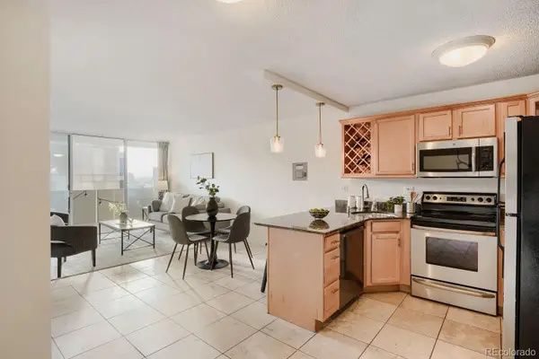 909 N Logan Street #9E, Denver, CO 80203