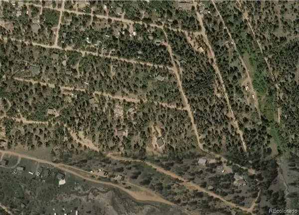 578 Hall Road, Bailey, CO 80421