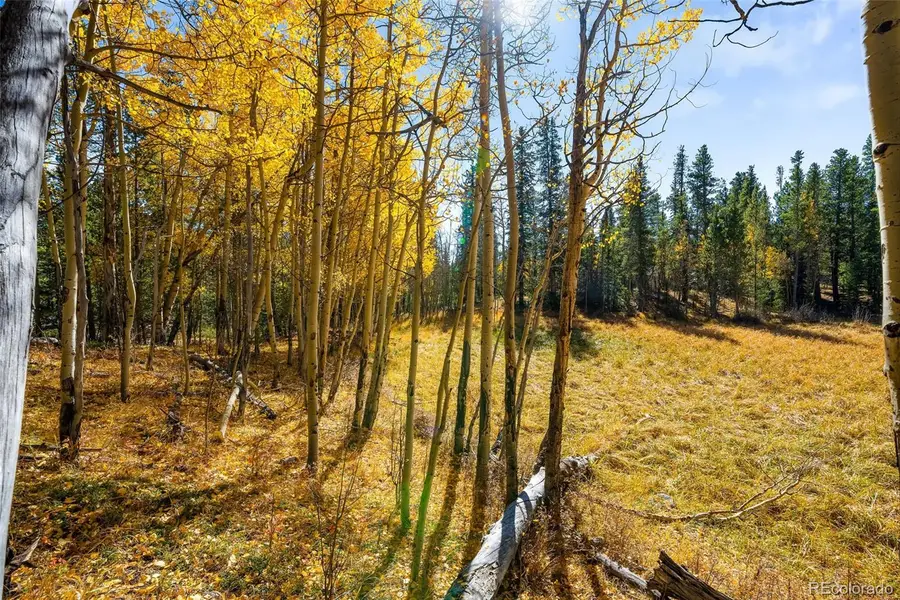 30 Serenity Court, Fairplay, CO 80440 - #2