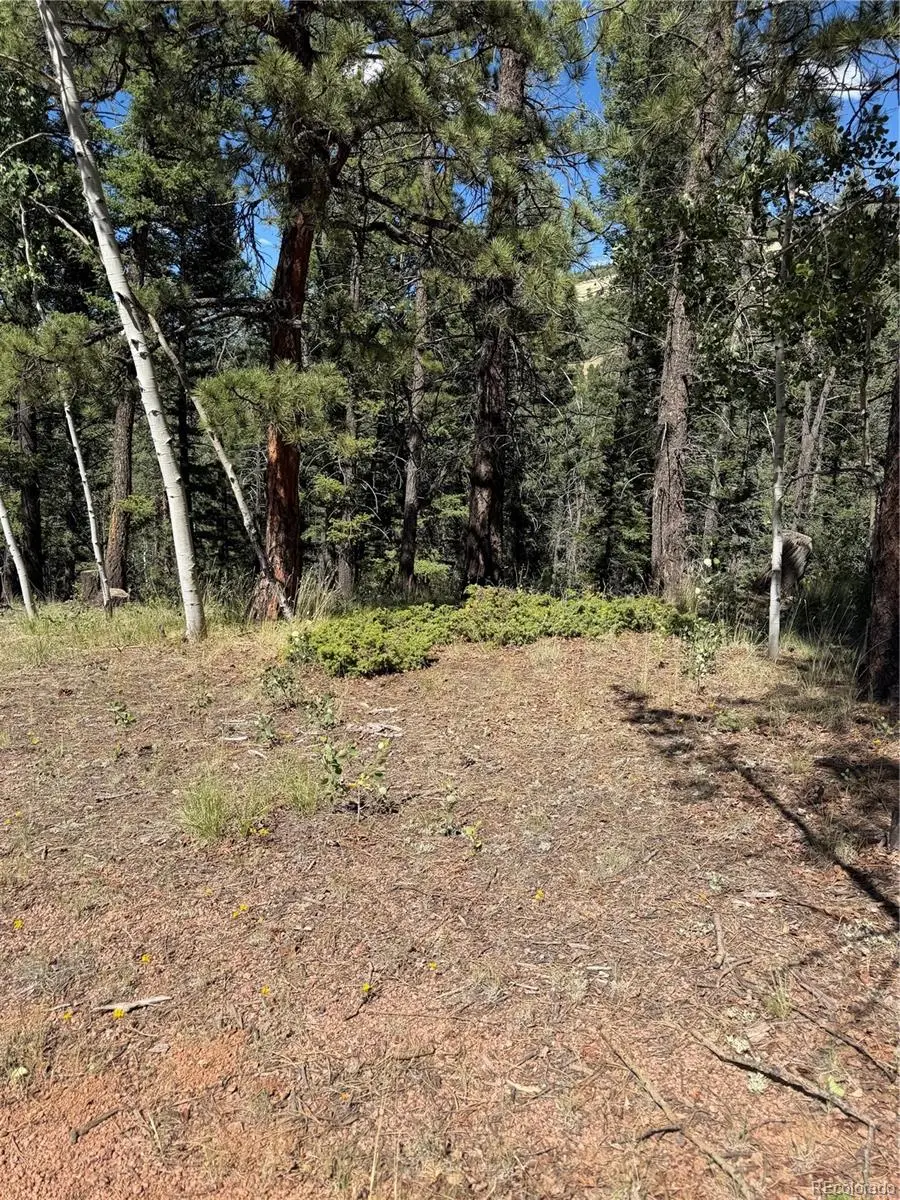 1007 Derby Drive, Cripple Creek, CO 80813 - #1