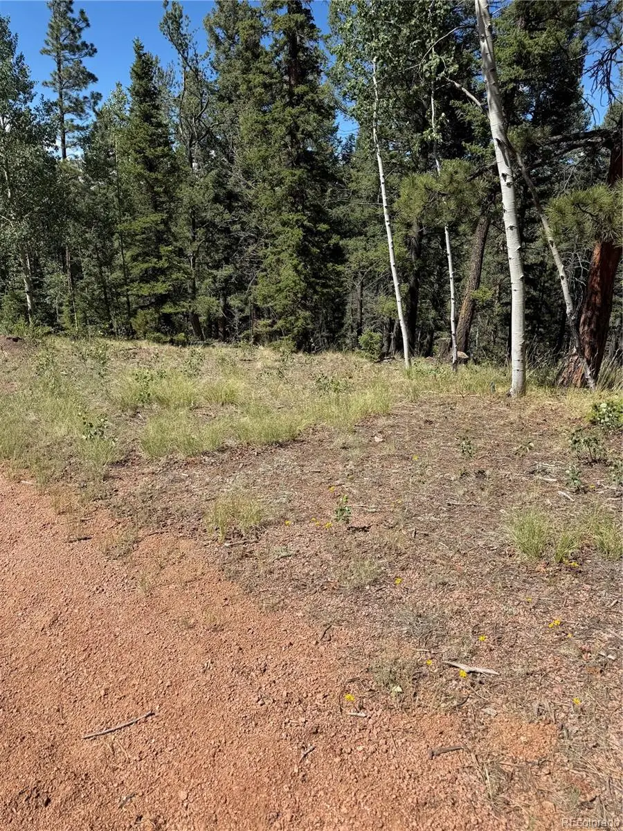 1007 Derby Drive, Cripple Creek, CO 80813 - #2