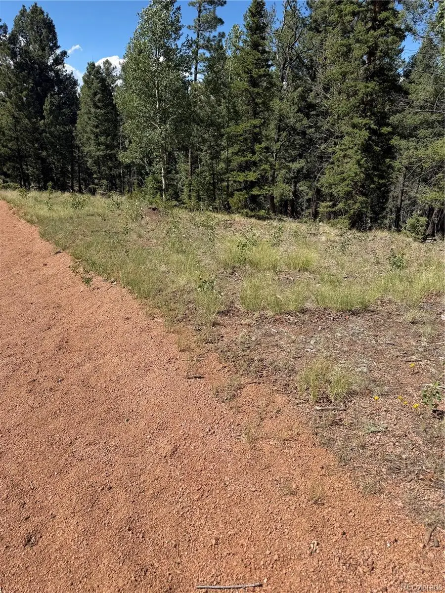 1007 Derby Drive, Cripple Creek, CO 80813 - #3