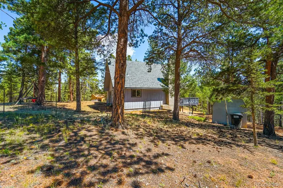 832 Spring Valley Drive, Divide, CO 80814 - Image #2