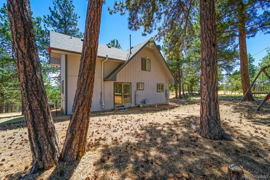 832 Spring Valley Drive, Divide, CO 80814 - Image #3