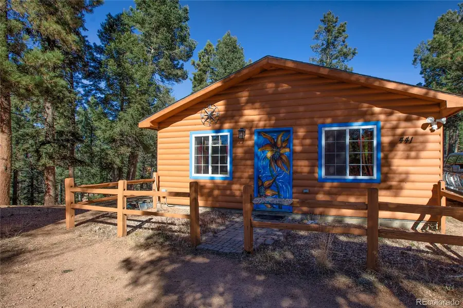 441 Paint Pony Lane, Florissant, CO 80816 - Image #2