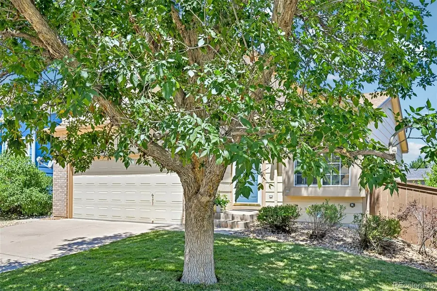 2531 Cove Creek Court, Littleton, CO 80129 - #2