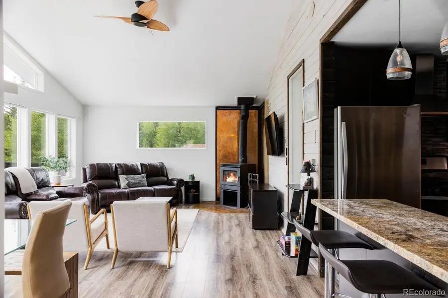 133 Gold Run Road, Alma, CO 80440 - #3