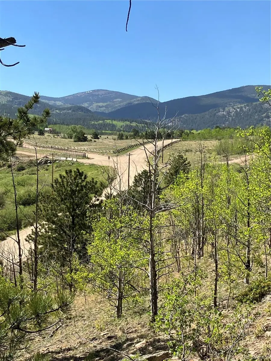 800 Eureka Street, Central City, CO 80427 - #3