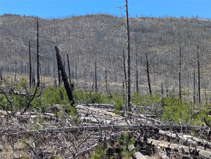 914 Forbes Park Road, Fort Garland, CO 81133 - #3