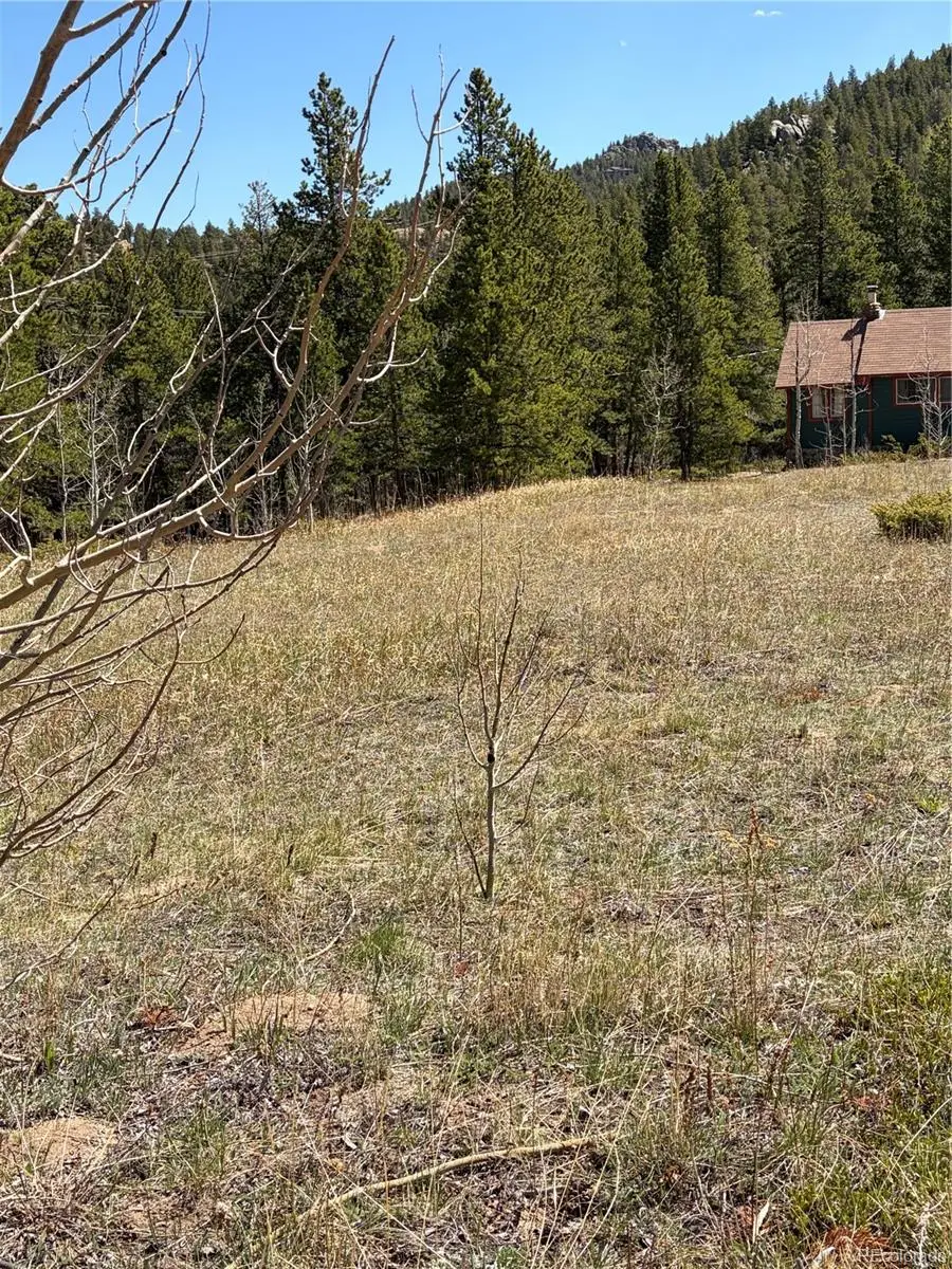 1461 Highway 72, Golden, CO 80403 - #3