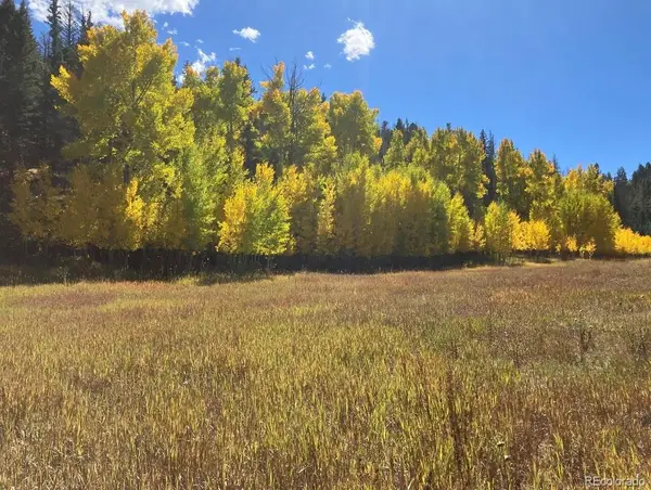 Lot 1 Co Rd 358, Westcliffe, CO 81252