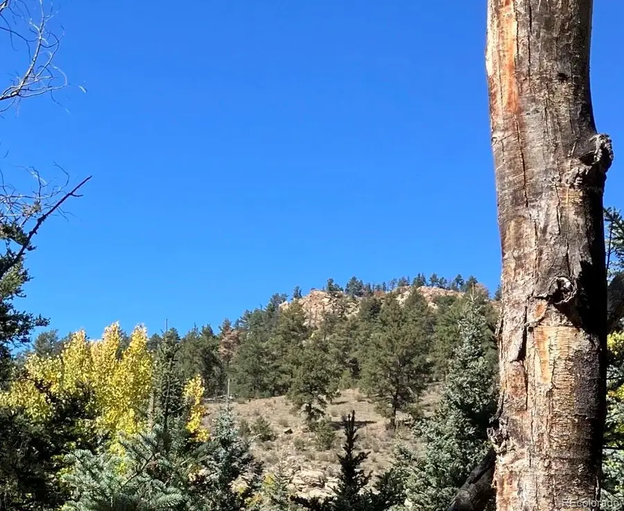 Lot 1 Co Rd 358, Westcliffe, CO 81252 - #2