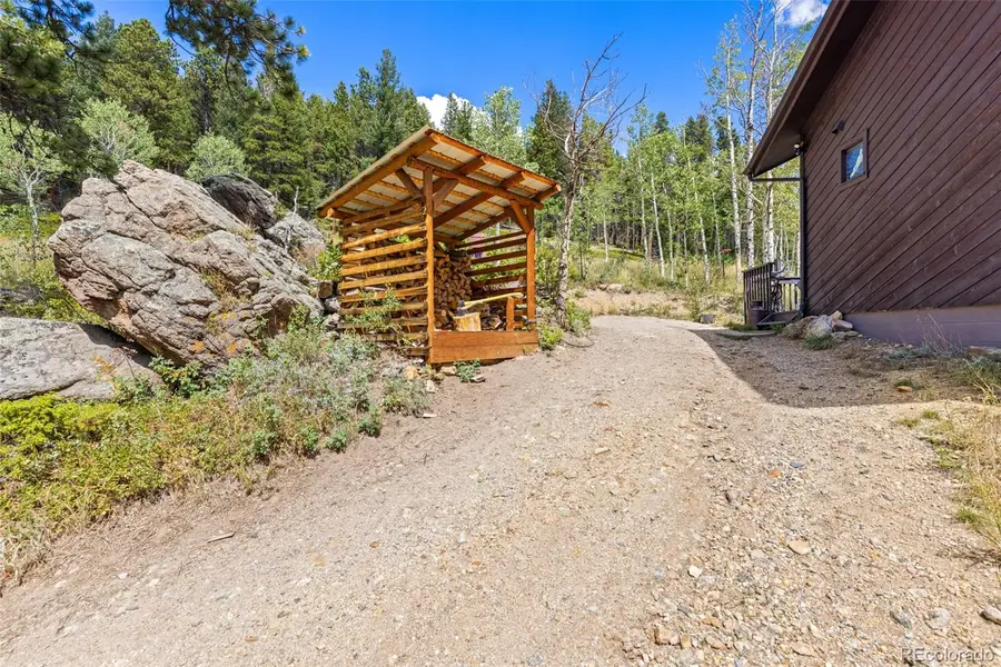 241 County Road 126, Nederland, CO 80466 - #3