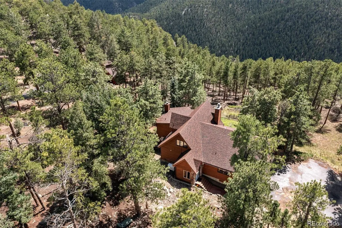 16 Auk Lane, Bailey, CO 80421 - #1