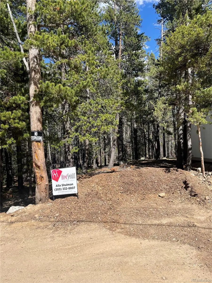 000 Silver Creek Road, Idaho Springs, CO 80452 - #1