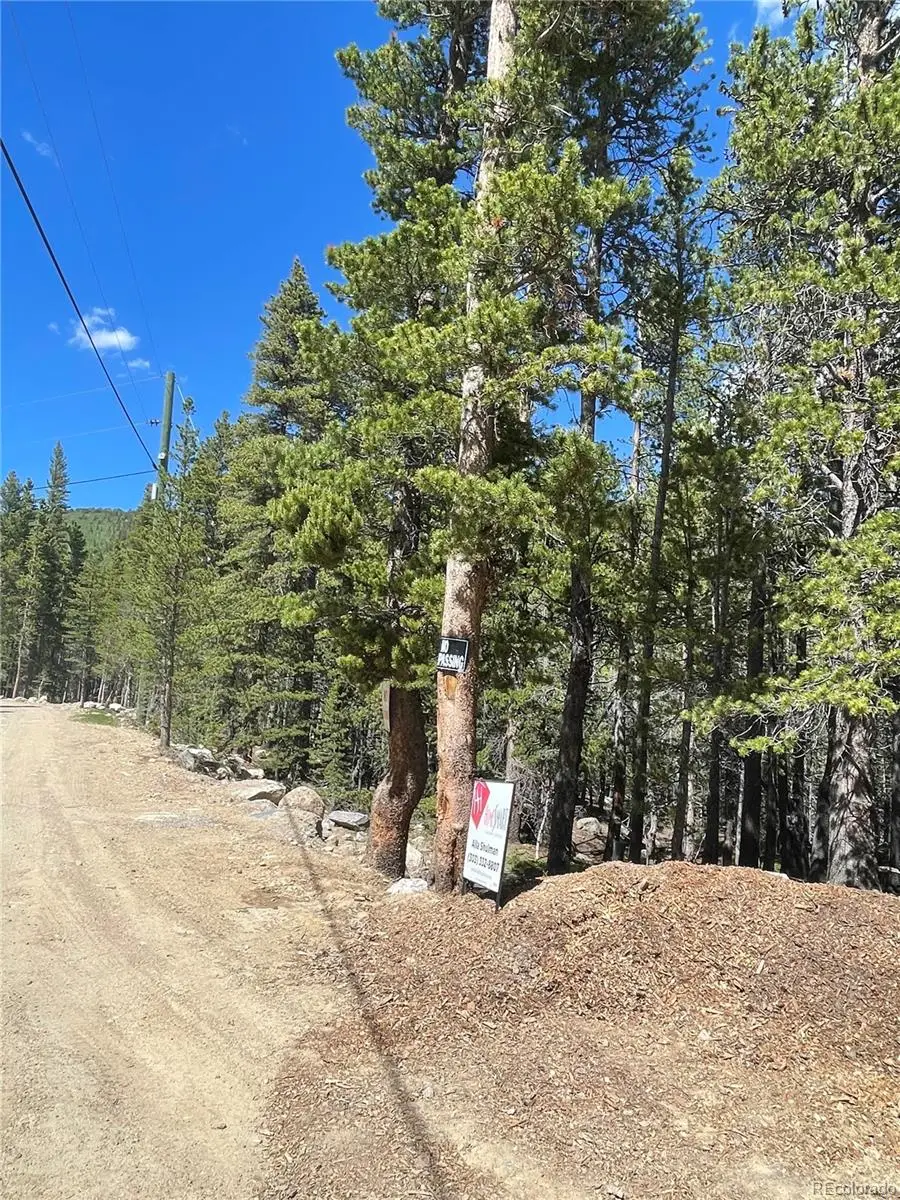 000 Silver Creek Road, Idaho Springs, CO 80452 - #3