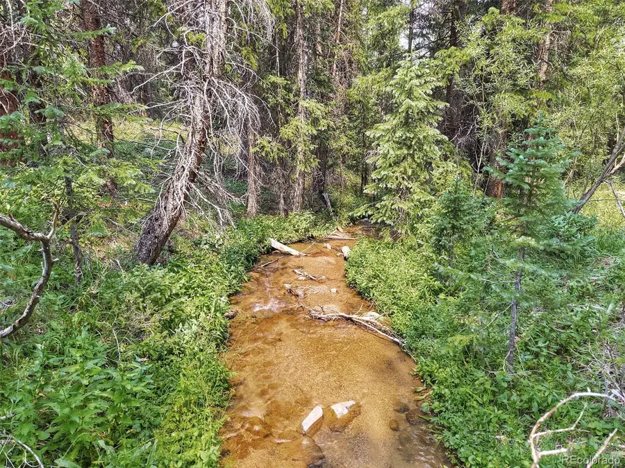 757 Cr 674, Breckenridge, CO 80424 - #2