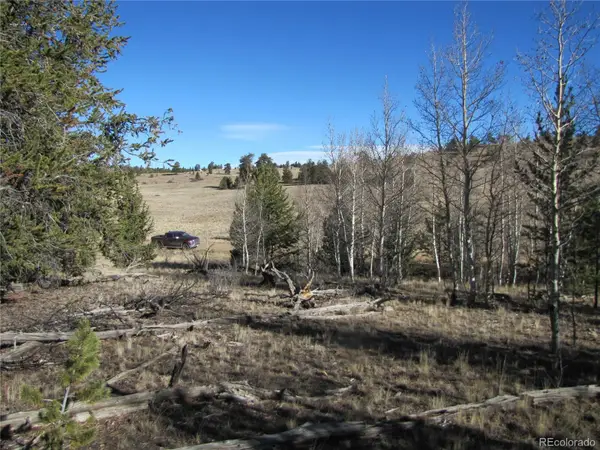 58 June Lane, Hartsel, CO 80449