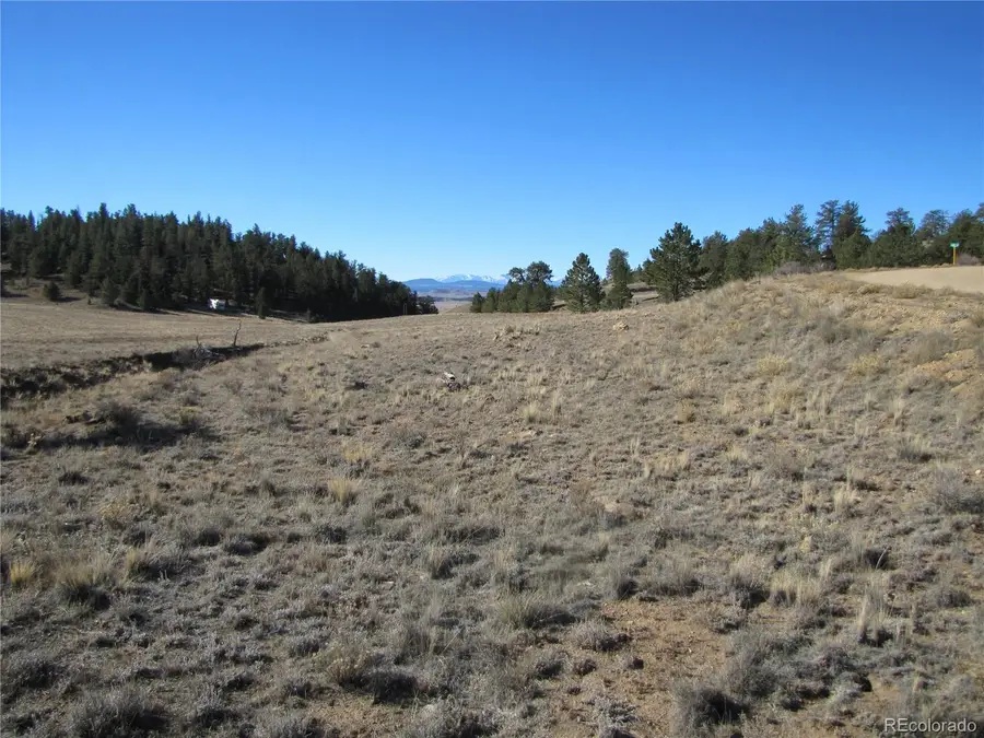 58 June Lane, Hartsel, CO 80449 - Image #2