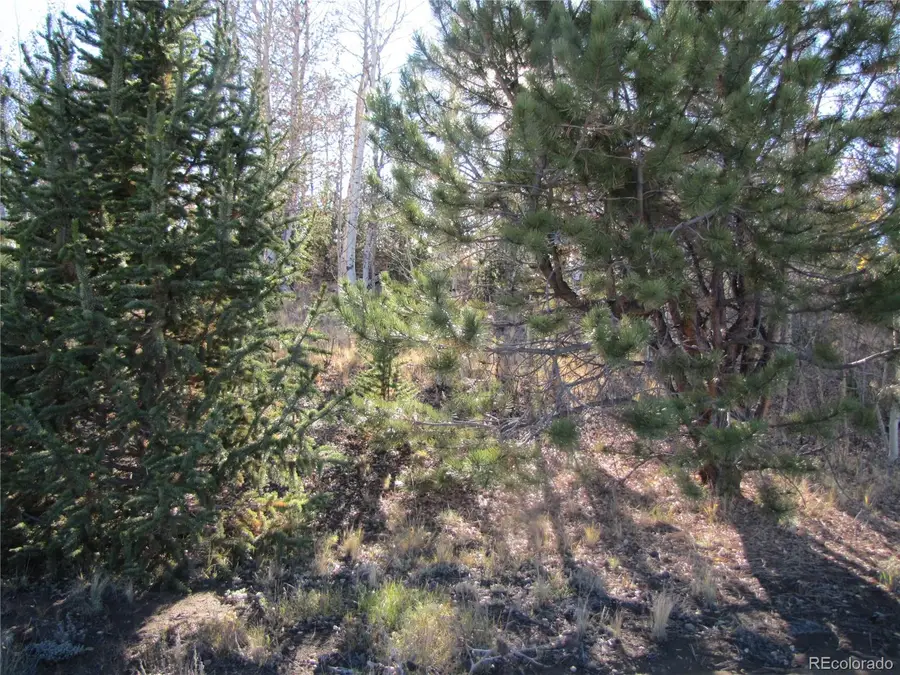 58 June Lane, Hartsel, CO 80449 - Image #3