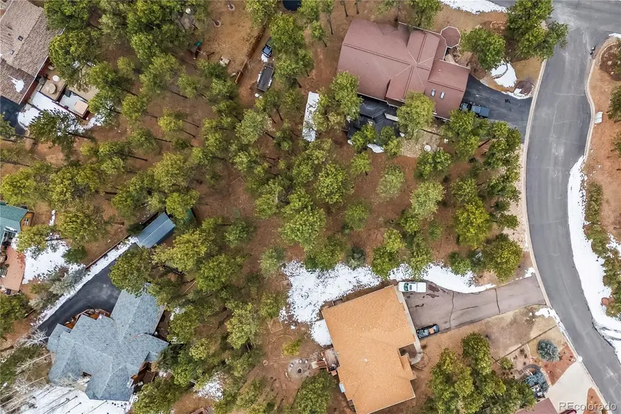 109 Flagstick Drive, Woodland Park, CO 80863 - #3