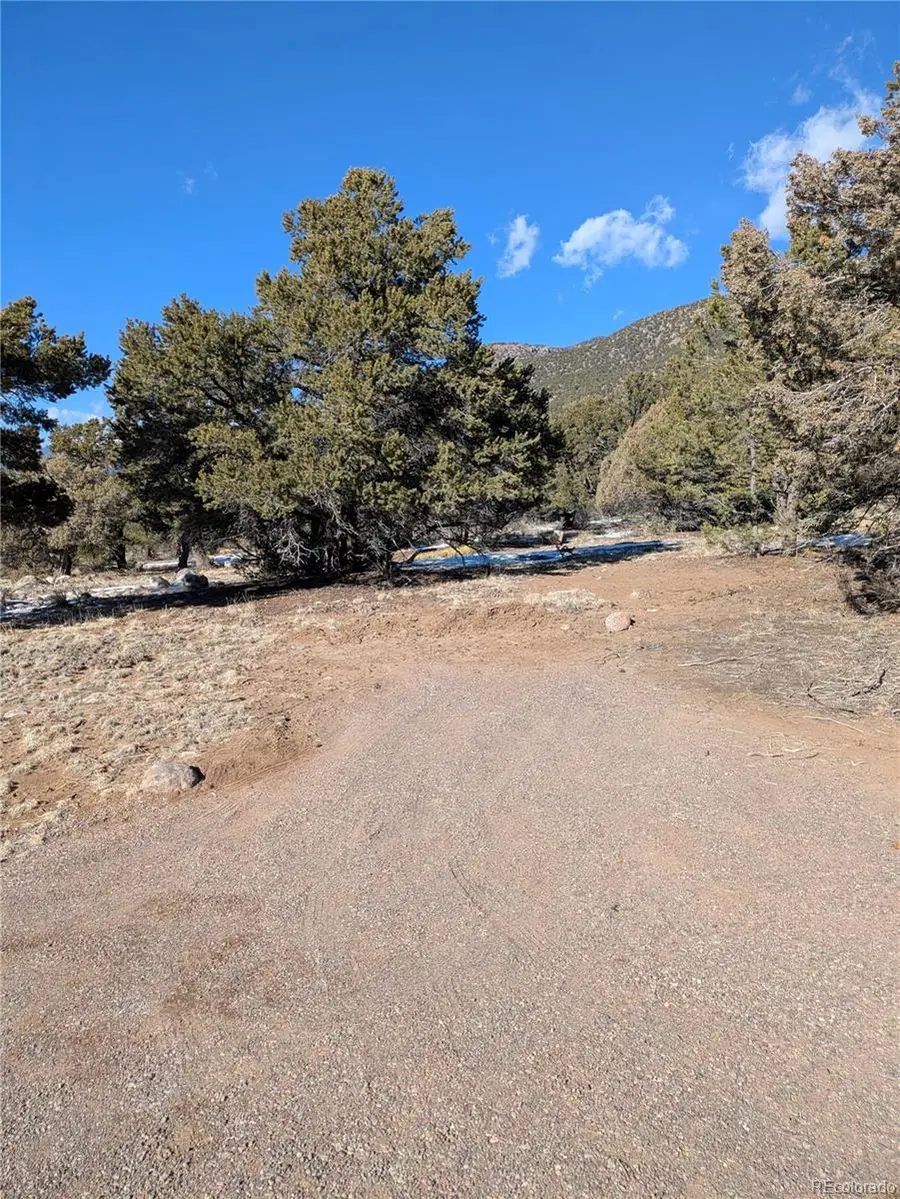 4229 Radiant, Crestone, CO 81131 - #3