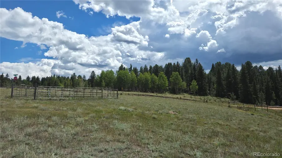 99 Uintah Ridge Road, Florissant, CO 80816 - #2
