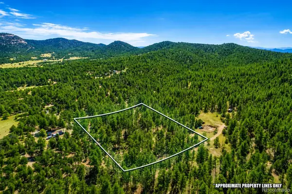 TBD L 10th Trail, Cotopaxi, CO 81223
