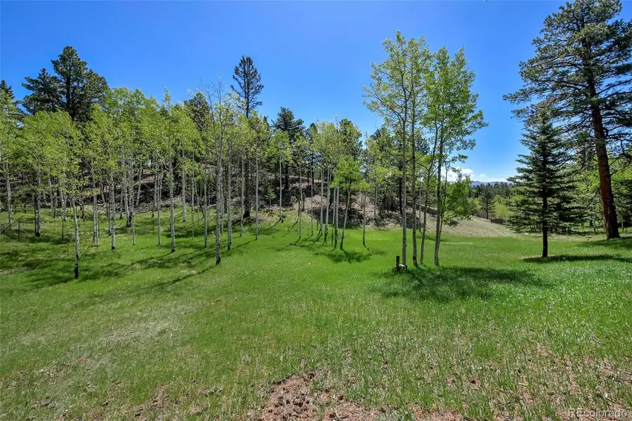 63 Star View Trail, Divide, CO 80814 - #2