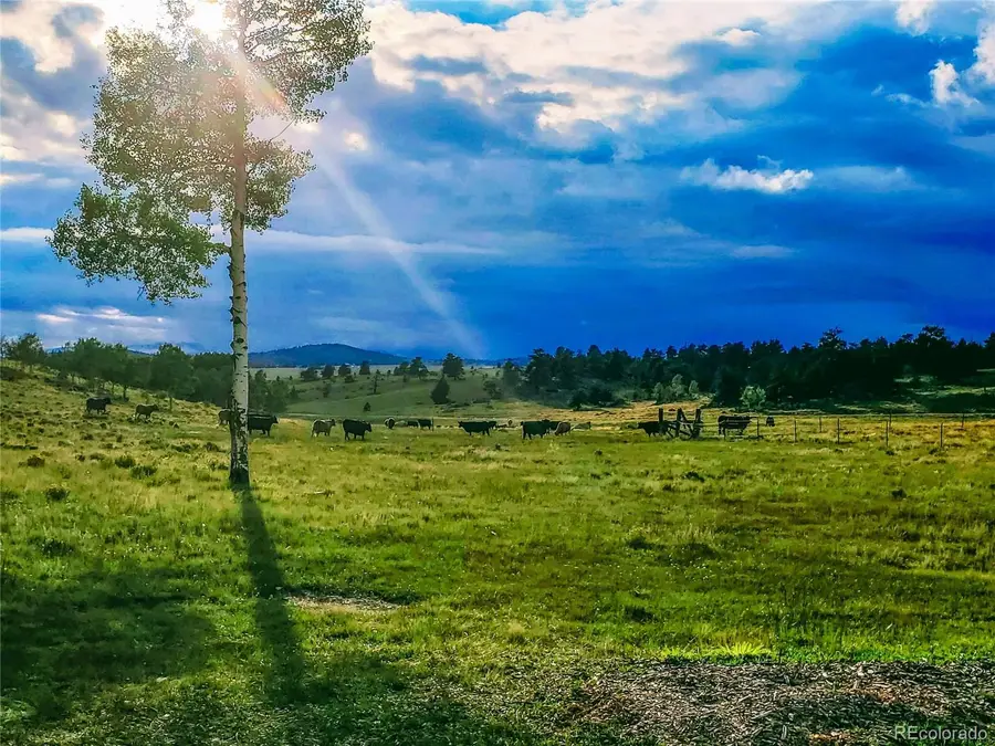 411 Bandalier Drive, Hartsel, CO 80449 - #3