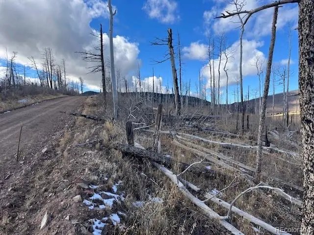 Lot 2397 Petito Drive, Fort Garland, CO 81133 - #1