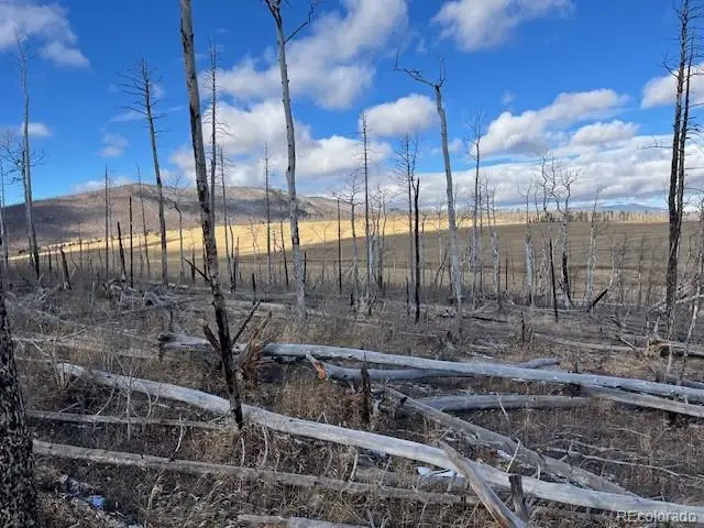 Lot 2397 Petito Drive, Fort Garland, CO 81133 - #3