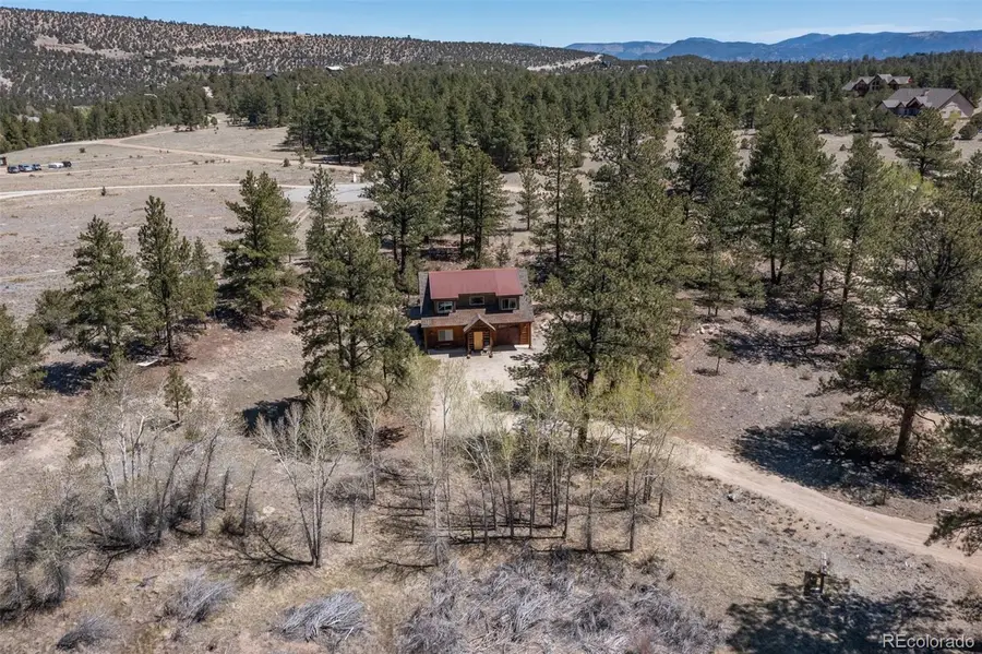 16602 County Road 289, Nathrop, CO 81236 - #2