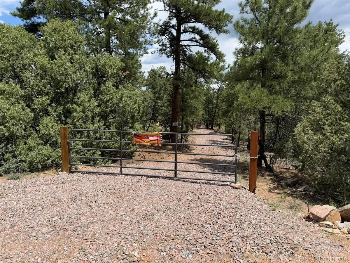 165 Mosswood Drive, Cotopaxi, CO 81223 - #1