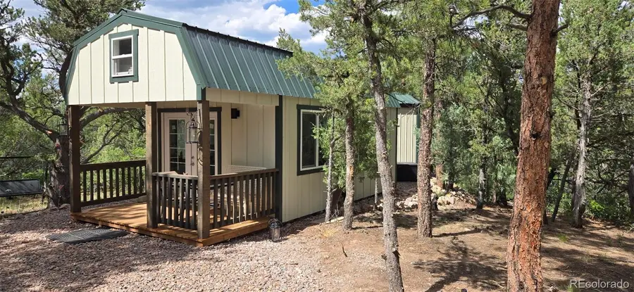 165 Mosswood Drive, Cotopaxi, CO 81223 - #3