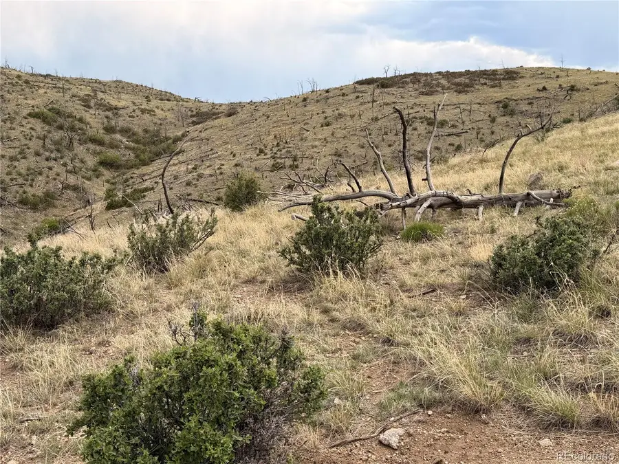 000 Cr 15x, Cotopaxi, CO 81223 - #3
