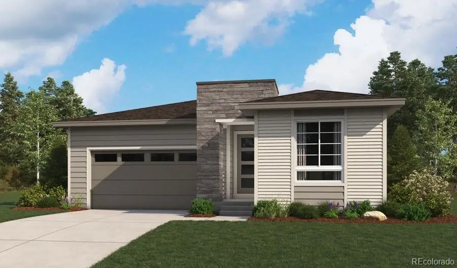 17006 Mighty Eagle Avenue, Parker, CO 80134 - #1