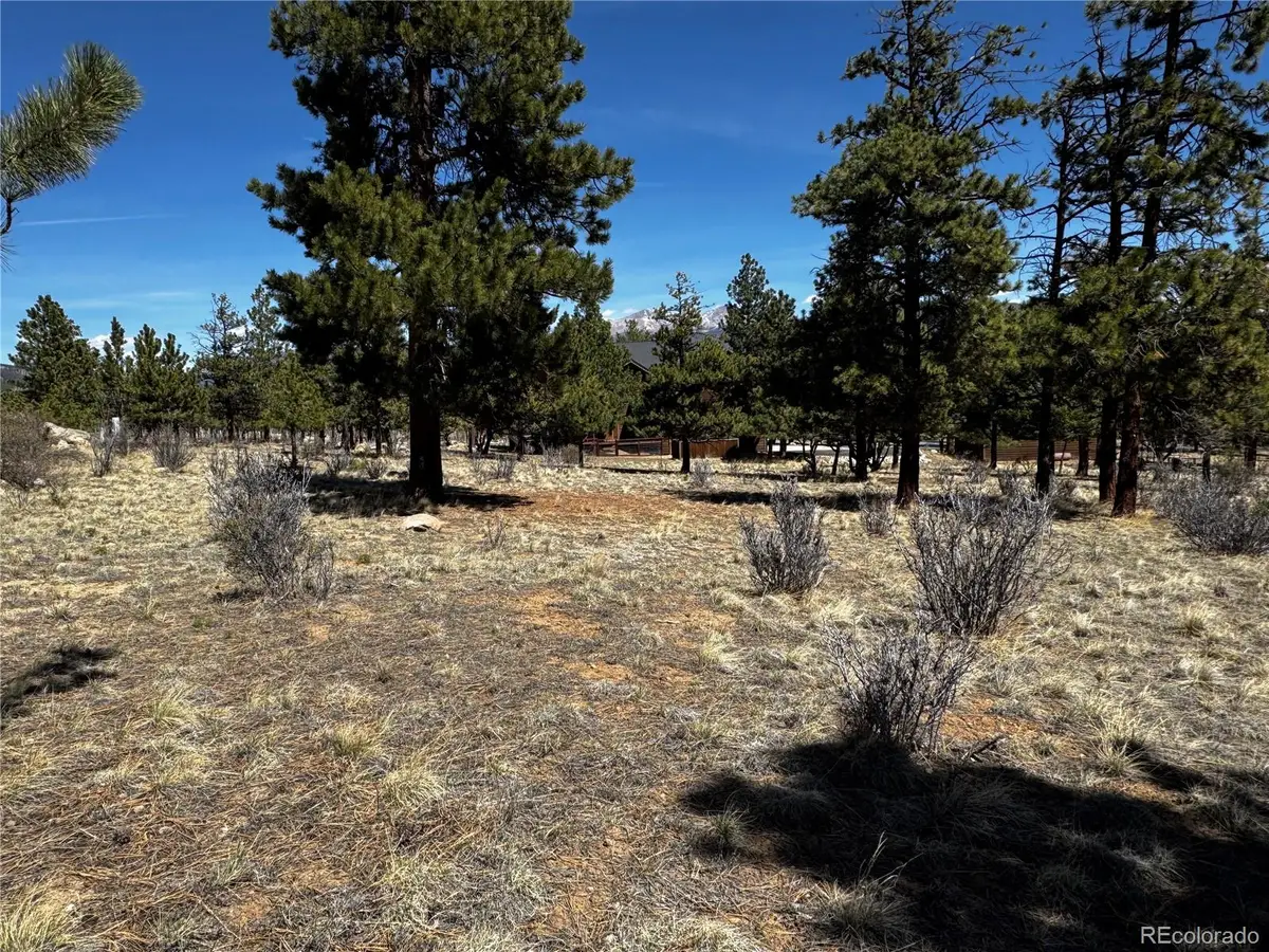 30583 Timberline Drive, Buena Vista, CO 81211 - #1