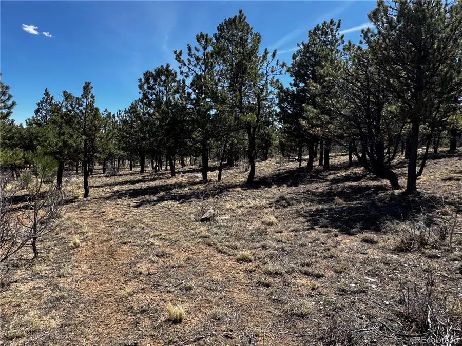 30583 Timberline Drive, Buena Vista, CO 81211 - #2