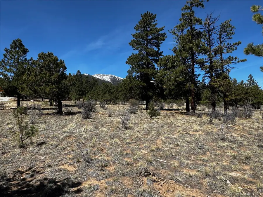 30583 Timberline Drive, Buena Vista, CO 81211 - #3