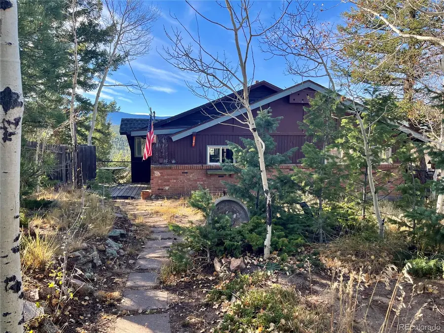 160 S Circle Drive, Bailey, CO 80421 - Image #2