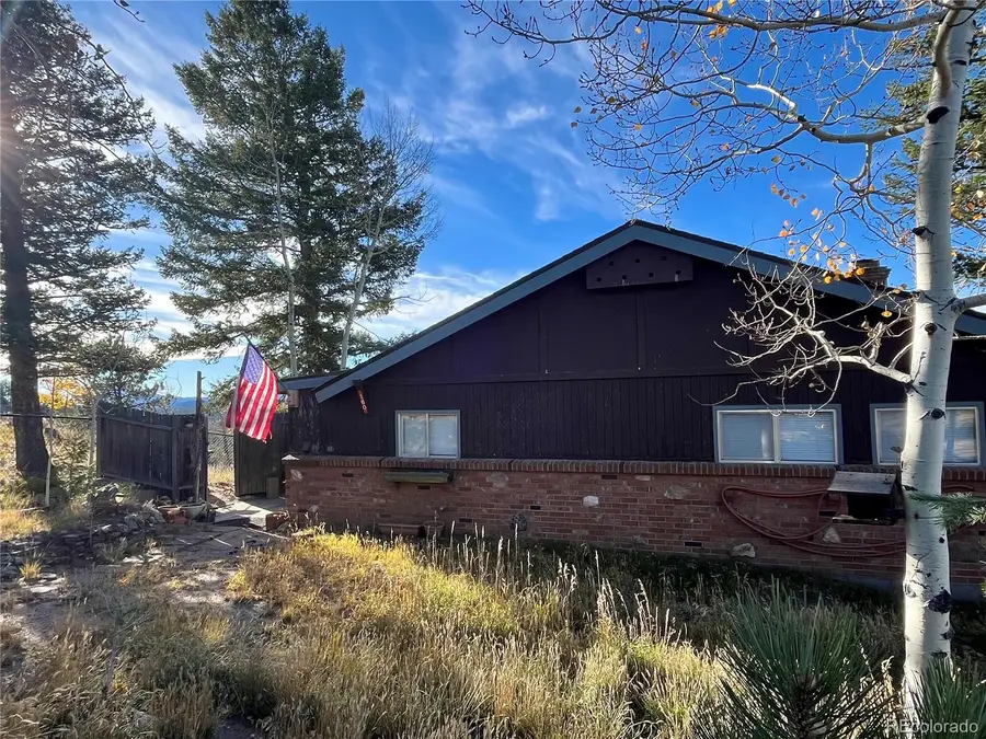 160 S Circle Drive, Bailey, CO 80421 - Image #3