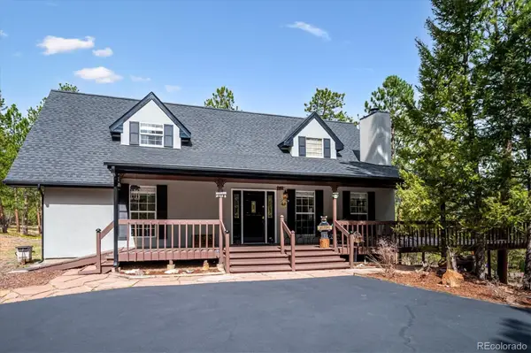 410 Spring Drive, Pine, CO 80470