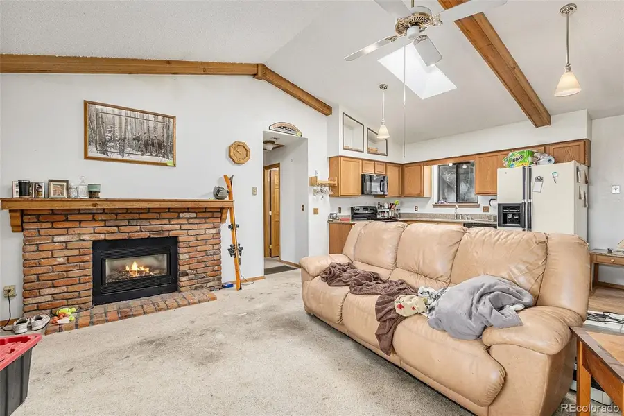 22296 Cook Lane, Morrison, CO 80465 - #2