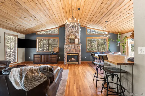 294 Kudu Trail, Bailey, CO 80421