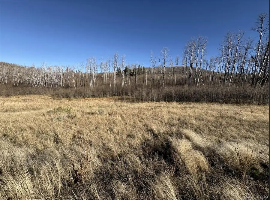 1654 Cary Lane, Fort Garland, CO 81133 - #3