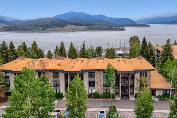 160 E La Bonte Street #201, Dillon, CO 80435