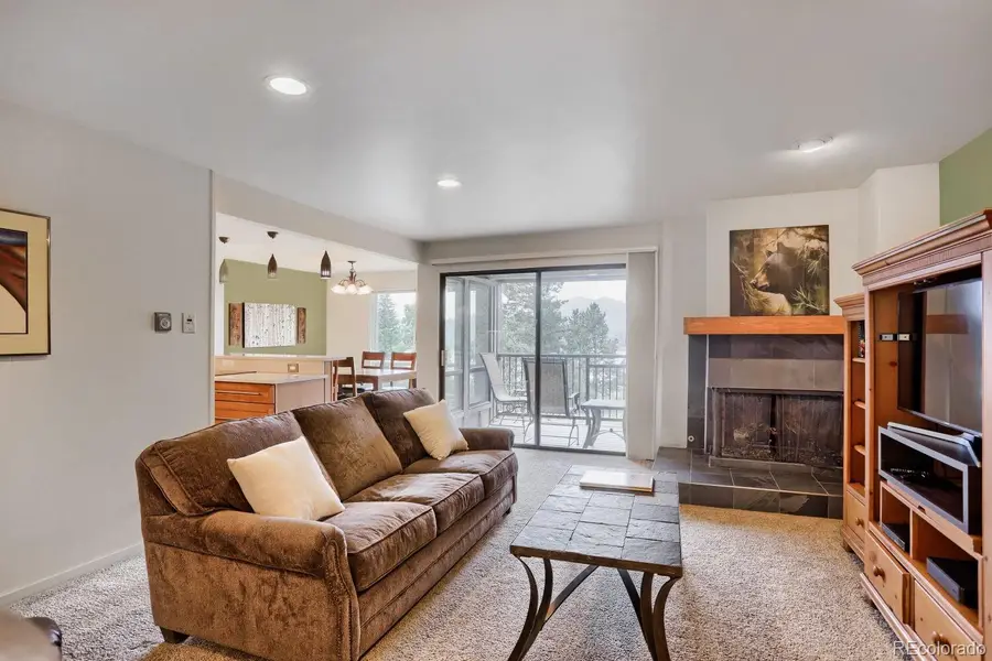 160 E La Bonte Street #201, Dillon, CO 80435 - #3