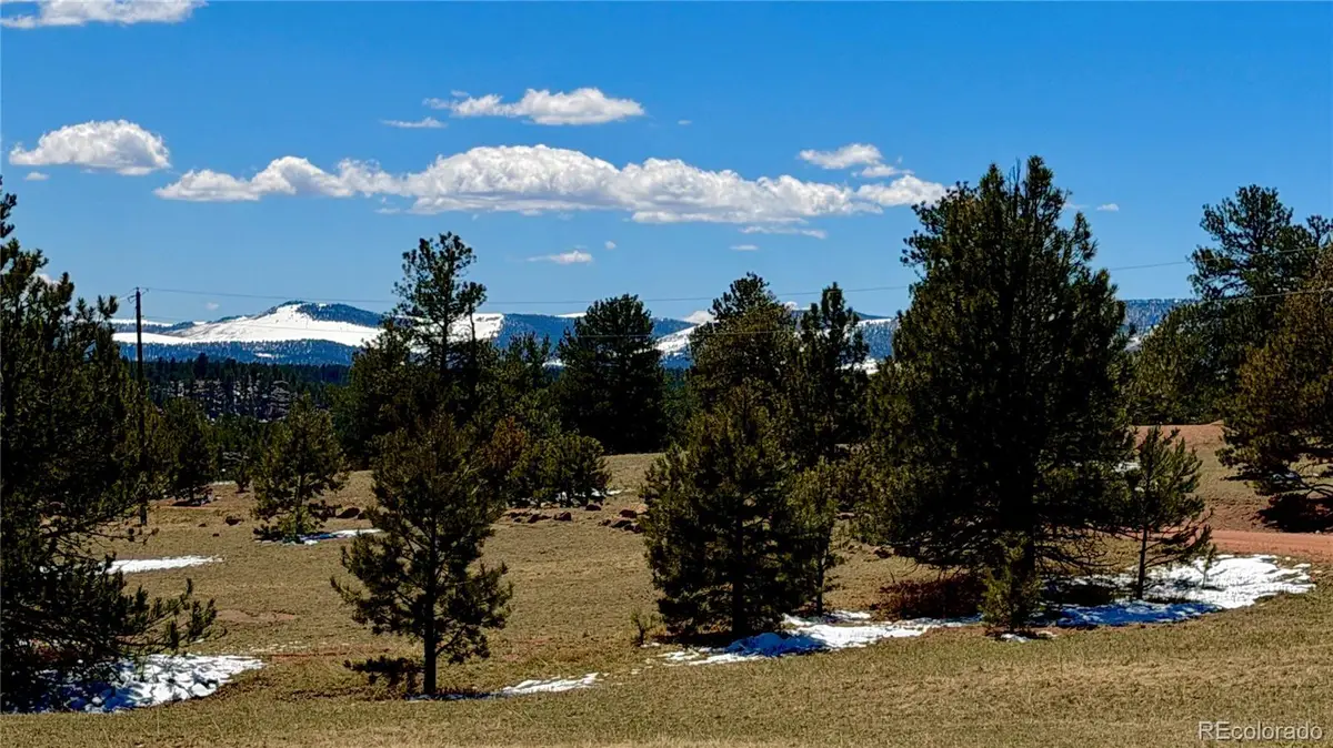 418 Scott Drive, Florissant, CO 80816 - #1