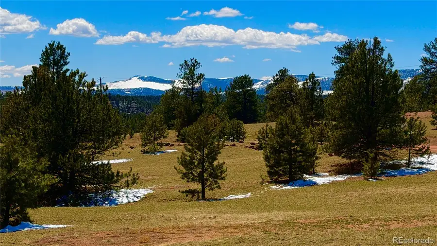 418 Scott Drive, Florissant, CO 80816 - #2